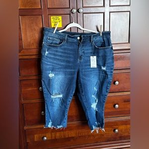 Judy Blue Capris 20W